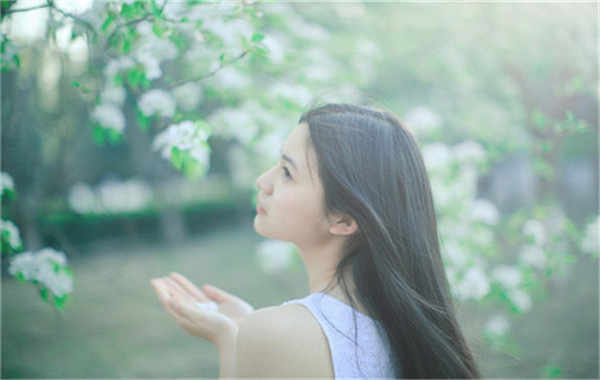 普格验血查男女几周可以验(验血查男女结果图)